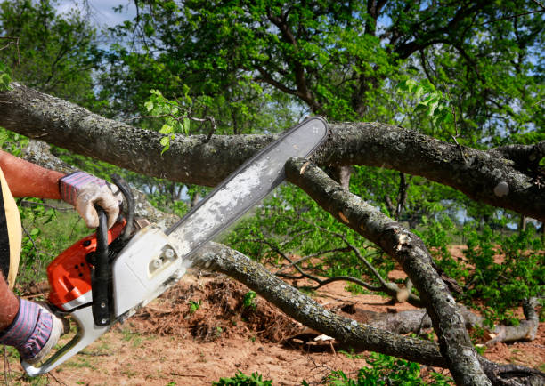 Mulching Services in Martinsville, IL